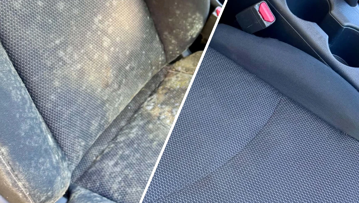 Before and after: mold / mildew removal